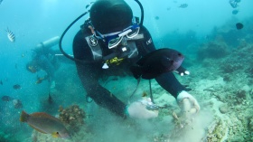 加拿大海洋生物學家自發清理海洋垃圾